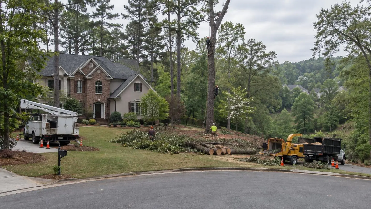 Tree Service in Alpharetta, GA
